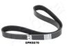 ASHIKA 112-6PK870 V-Ribbed Belts